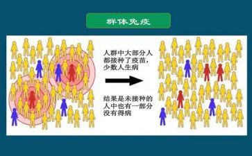 计划免疫半年总结6篇