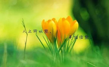 中外名人故事读后感优质6篇