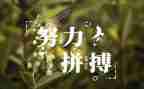 中国名人演讲稿8篇