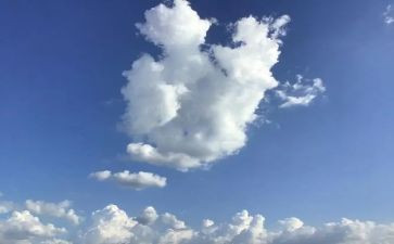 作文明天的我600字通用6篇