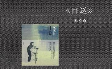 目送读后感800字7篇