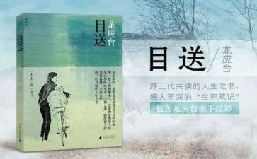 目送读后感1000字6篇