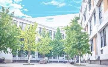 母校作文600字精选7篇