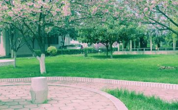 母校作文600字推荐8篇