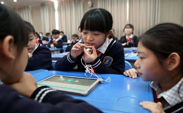 小学一年级教师心得体会8篇