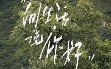 你好优秀作文6篇