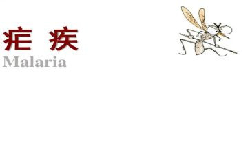 疟疾活动总结5篇