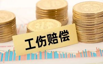 赔偿的申请书6篇