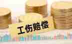 赔偿的申请书6篇