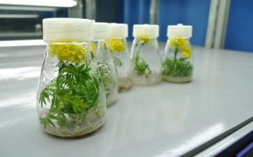 培养孩子阅读心得体会8篇
