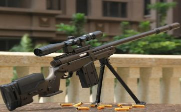 幼儿园关于枪的大班教案5篇