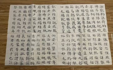 千字文的心得参考5篇