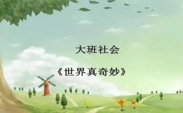 奇妙的数王国的读后感5篇
