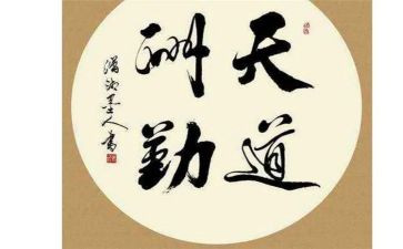 勤劳的我作文6篇