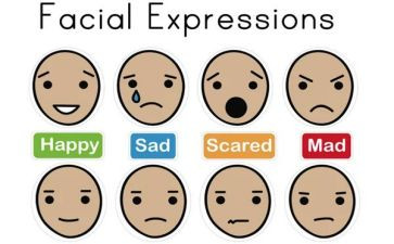 做情绪的主人班会教案5篇