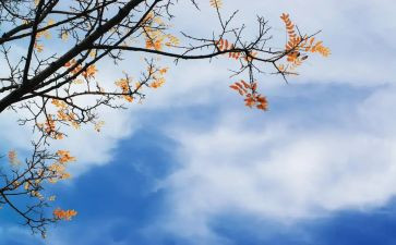 教师法2023秋心得体会优质5篇