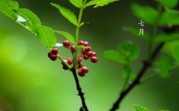 七月的工作计划6篇