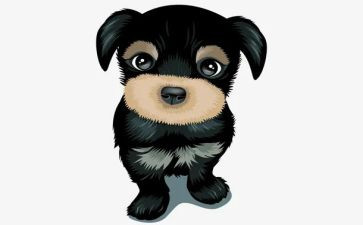读双面猎犬读后感优秀7篇