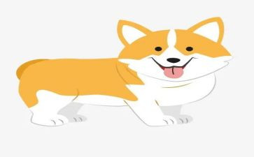少年与犬读后感最新8篇