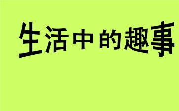 家庭趣事作文800字5篇