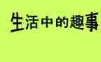 家庭趣事作文800字5篇