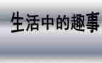 假期趣事800字作文6篇