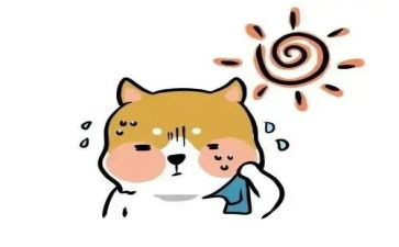 热爱祖国演讲稿400字5篇