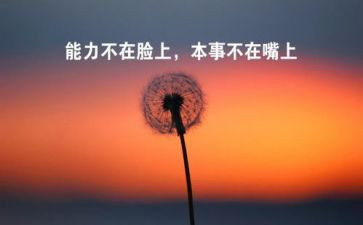 放心人心得体会6篇
