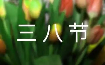 村三八节活动方案优质5篇