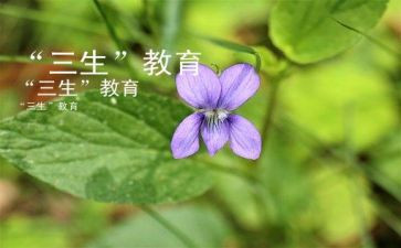 活教育和三生教育心得体会7篇