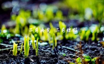 幼儿园中班三月份工作总结8篇