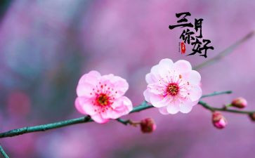 三月份的工作计划优秀5篇