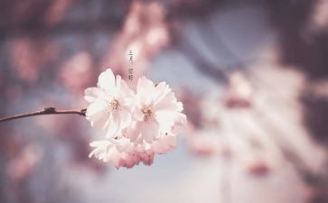 销售三月工作计划6篇
