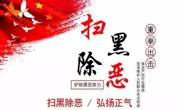扫黑除恶体会心得5篇