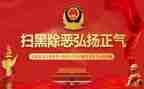 扫黑办个人事迹材料6篇