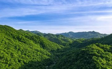 主题父爱如山的演讲稿5篇