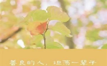 善文化读后感优秀7篇