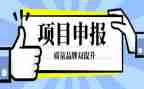 中二申报中一述职报告5篇