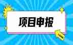 零申报申请书5篇