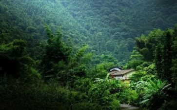 作文记忆的深处精选5篇