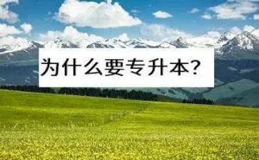 专升本支申请书5篇