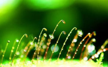 珍爱生命教案推荐7篇