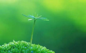 珍爱生命教案最新7篇