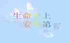 生命至上的作文8篇