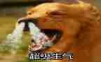 我生气的作文5篇