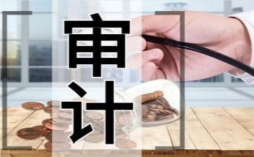 学审计的心得体会7篇