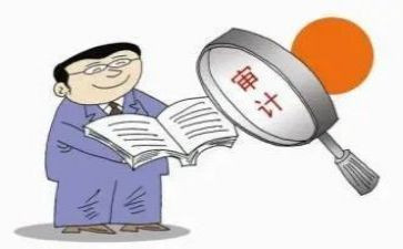 半年度审计工作总结7篇