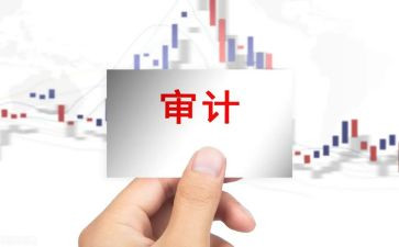 年内部审计工作总结6篇