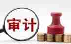 区审计工作计划精选8篇