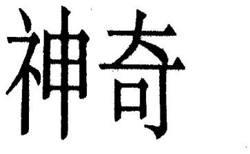 神奇的房子作文模板5篇